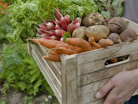 Trendspotting: Farm to table